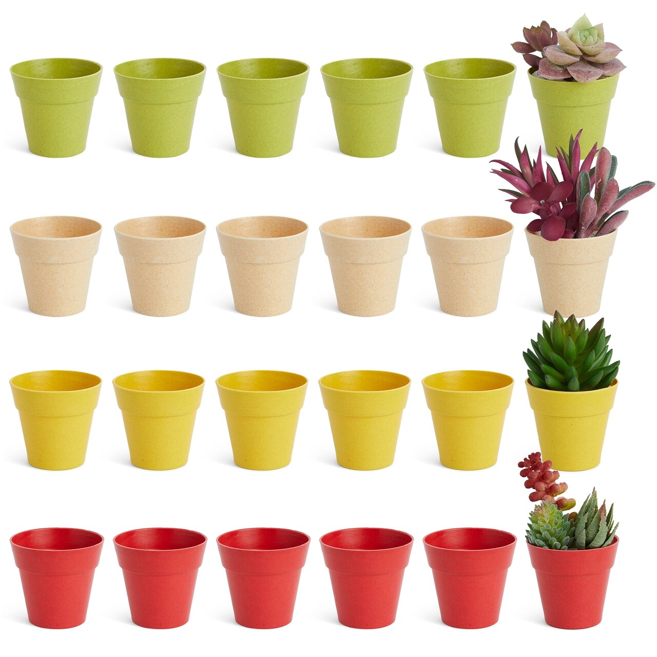 24 Pack Tiny Plastic Pots for Plants 1.5 Inch, Mini Planters for Flowers, Succulents (4 Colors), 6.4*6.4*5.7CM